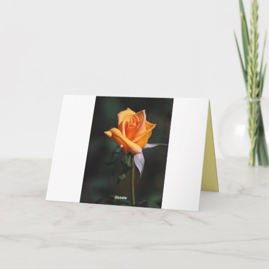 ジアンハッピーバースデーイエローローズとミツバチ カード (裏面)