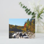 ジェイの調理師の州立公園ミネソタ ポストカード (スタンド正面)