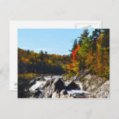 ジェイの調理師の州立公園ミネソタ ポストカード (正面/裏面)