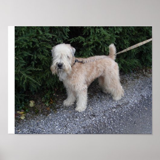 ジェイクアットザビルトモア ポスター (正面)