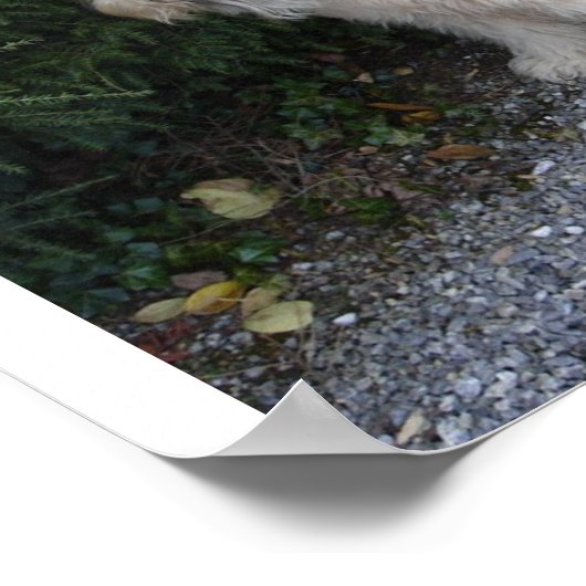 ジェイクアットザビルトモア ポスター (角)