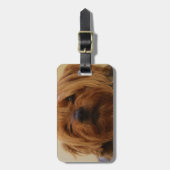 ジェイクザヨークシャーテリアテリア ラゲッジタグ (正面縦)