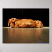 ジェイク&ディロン ポスター (正面)