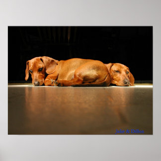 ジェイク&ディロン ポスター