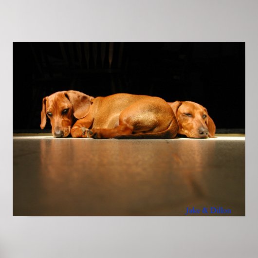 ジェイク&ディロン ポスター (正面)