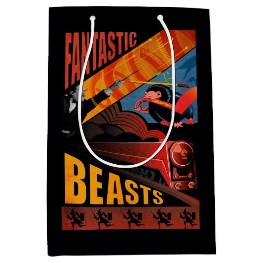 ジェイコブ・コワルスキー・ファンタスティック・ビーツ・ビンテージ・ポスター ミディアムペーパーバッグ (正面)