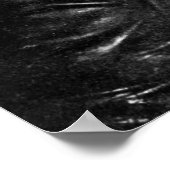 ジェイシービー・スチュアート ポスター (角)