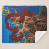 ジェイソンとその先生 |マックスフィールドパリシュ | シェルパブランケット (正面(横))