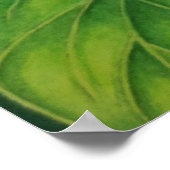 ジェイドつる植物 ポスター (角)