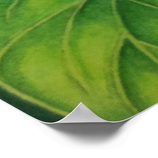 ジェイドつる植物 ポスター (角)