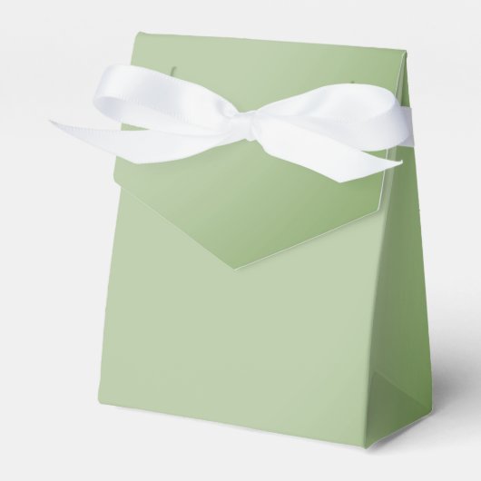 ジェイドグ無地のリーンセラドン フェイバーボックス (正面サイド)