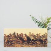 ジェイムズ・ウォーカーによる荒馬のロープ操作 (スタンド正面)