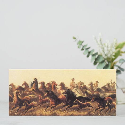 ジェイムズ・ウォーカーによる荒馬のロープ操作 (スタンド正面)