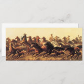 ジェイムズ・ウォーカーによる荒馬のロープ操作 (正面/裏面)