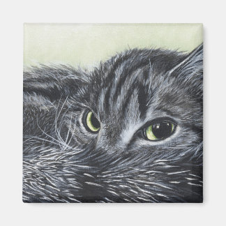 ジェイン マグネット