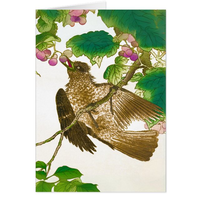 ジェイ日本ののスケッチオンザグレープつる植物 (正面)