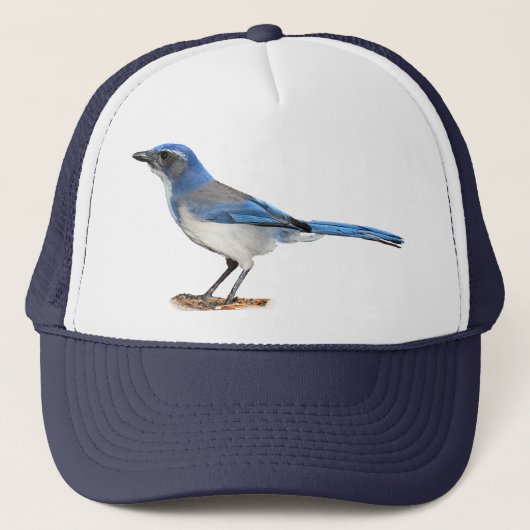 ジェイ2 キャップ (正面)