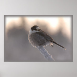 ジェイ2 ポスター