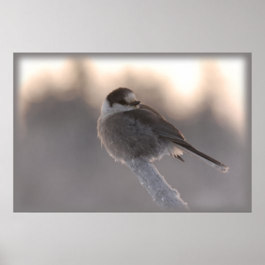 ジェイ2 ポスター (正面)