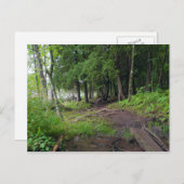 ジェイ・クークパークを抜けるフォレストトレイル ポストカード (正面/裏面)