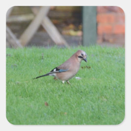 ジェイ スクエアシール