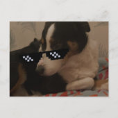 ジェイ・ポストカード ポストカード (正面)