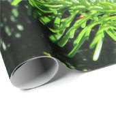 ジェシェンパピエ筋 ラッピングペーパー (ロールコーナー)