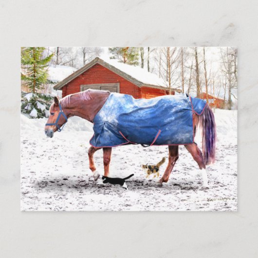 ジェシーの新しい毛布 ポストカード (正面)