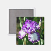 ジェシーの歌 マグネット (正面/裏面)