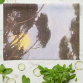 ジェシー・ウィルコックス・スミスによるハッソックツリーの少年 キッチンタオル (折り畳み)