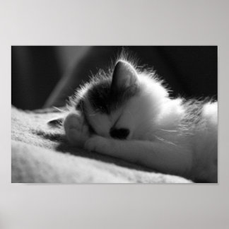 ジェシー・ジェーン – 小さなポスター ポスター