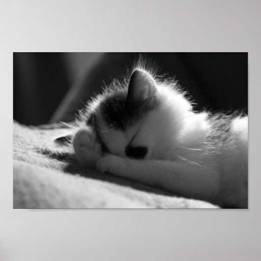 ジェシー・ジェーン – 小さなポスター ポスター (正面)