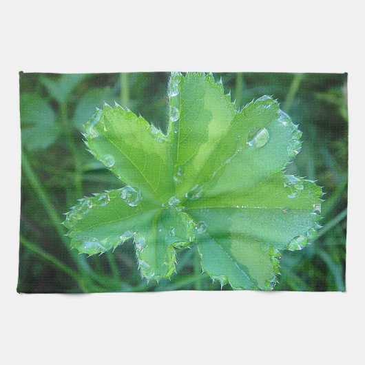 ジェスチャートフワッセルトロフエンオフブラット キッチンタオル (横)