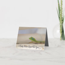 ジェッコが登場するバレンタカラフルインカード