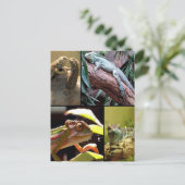 ジェッコトカゲとチャメレオン ポストカード (スタンド正面)