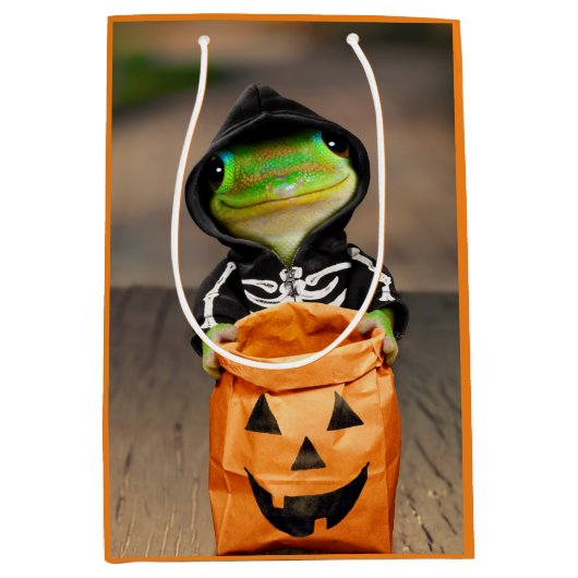 ジェッコ骨格 ミディアムペーパーバッグ (正面)