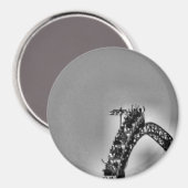 ジェットコースター マグネット (正面/裏面)