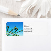 ジェットコースター ラベル (インサイチュ)