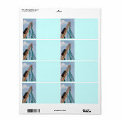 ジェットコースター ラベル (フルシート)