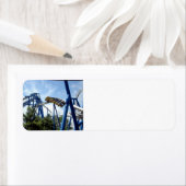 ジェットコースター ラベル (インサイチュ)