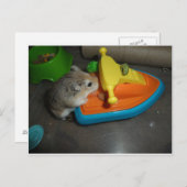 ジェットスキーのハムスター ポストカード (正面/裏面)