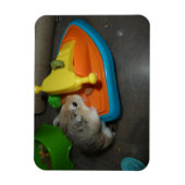 ジェットスキーのハムスター マグネット (縦)