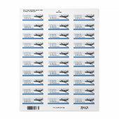 ジェット企業の航空機 ラベル (フルシート)