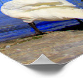 ジェット・ドー ポスター (角)