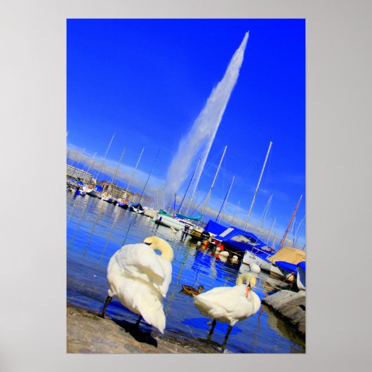 ジェット・ドー ポスター (正面)