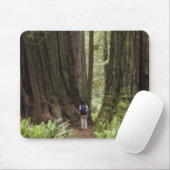 ジェデディア・スミス・レッドウッズ州公園 マウスパッド (マウス)