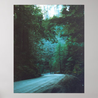 ジェデディーヤスミスレドウズ州パーク、カリフォルニア州 ポスター