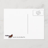 ジェニーレイクアットグランドテトンナショナルパーク ポストカード (裏面)