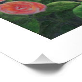 ジェニー・マクラーリン『ロザリオの我らの女性』 ポスター (コーナー)