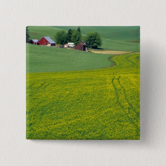 ジェネシー近く、ラター郡アイダホ州アメリカ合衆国。 缶バッジ (正面)